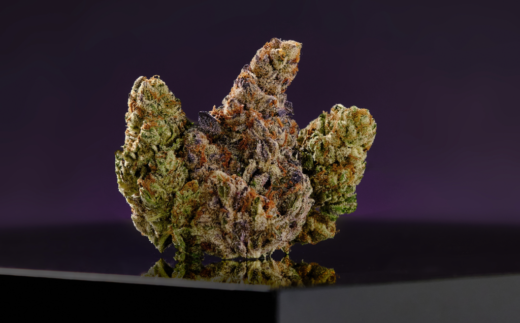 photo of Iverson 96 cannabis nug in front of purple background