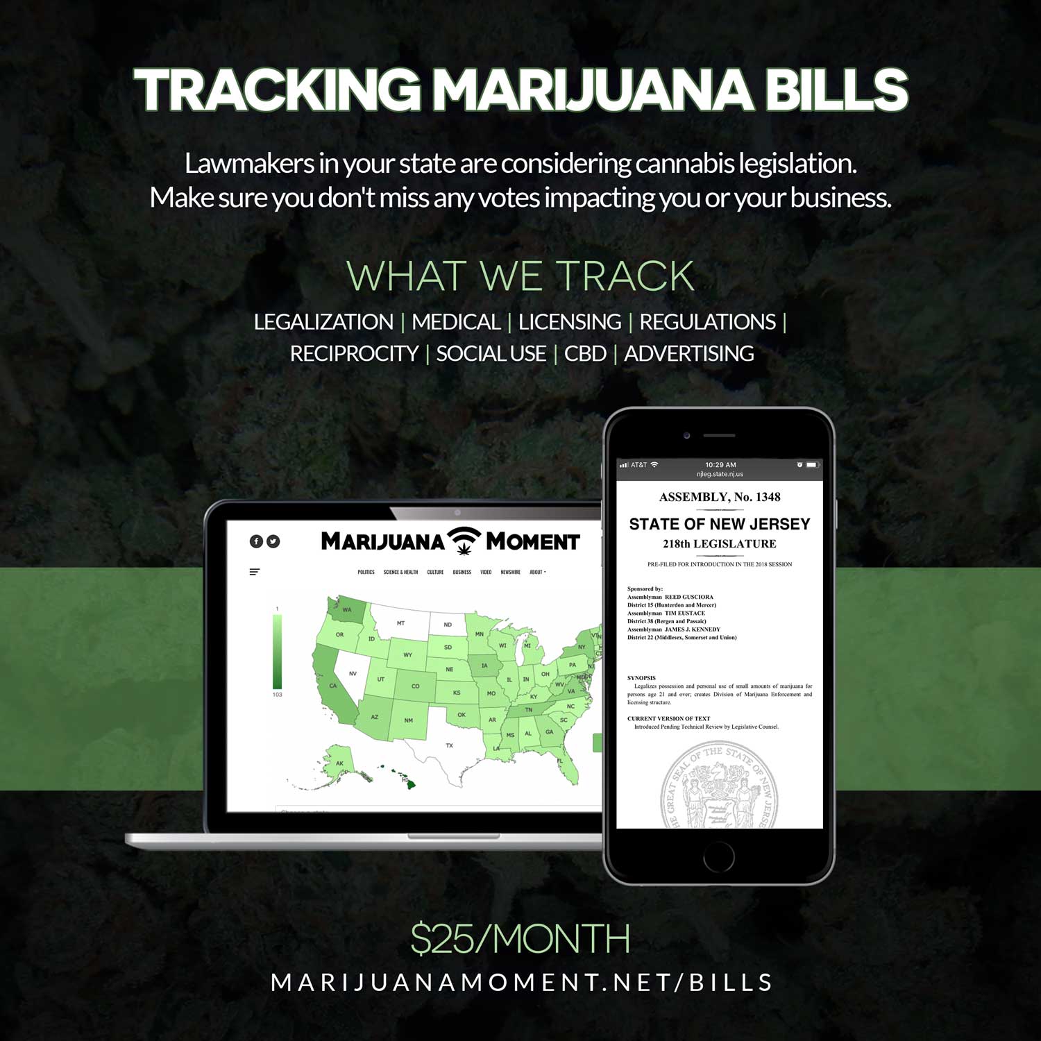 Congressional Lawmakers Seek To Build Support For Amendment To Protect All Marijuana States From Federal Interference – Marijuana Moment