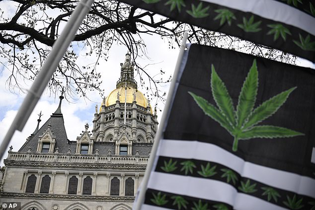 Flags with a marijuana leaf wave outside the Connecticut State Capitol building in a file photo