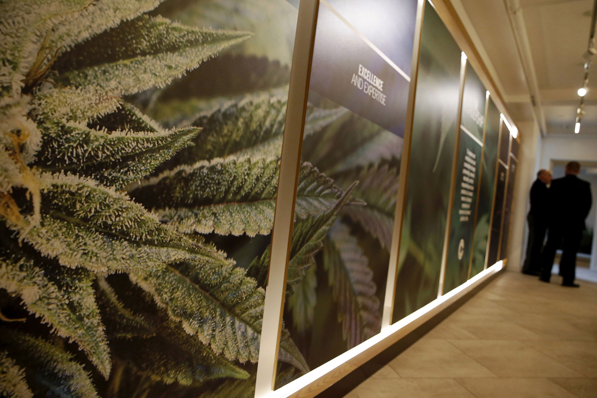 New York's first medical marijuana dispensaries are opening their doors on Thursday, as the state launches one of the most conservative programs of its kind in the United States.