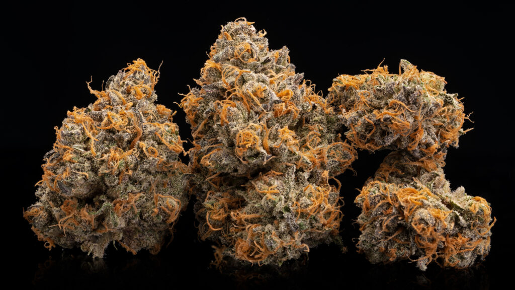 Up close purple and orange buds of Peach OZ (Courtesy Wonderbett)