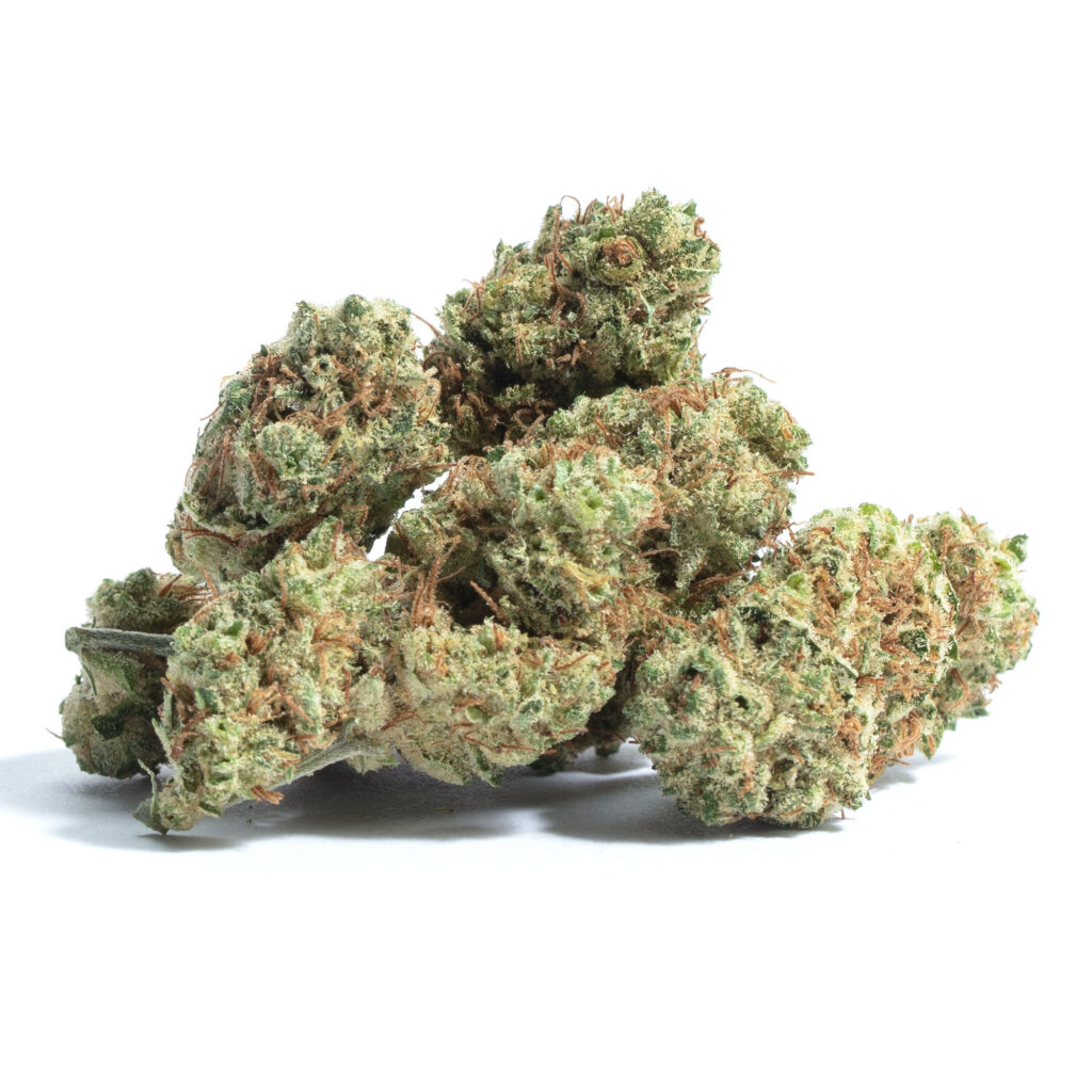 dutch treat marijuana strain
