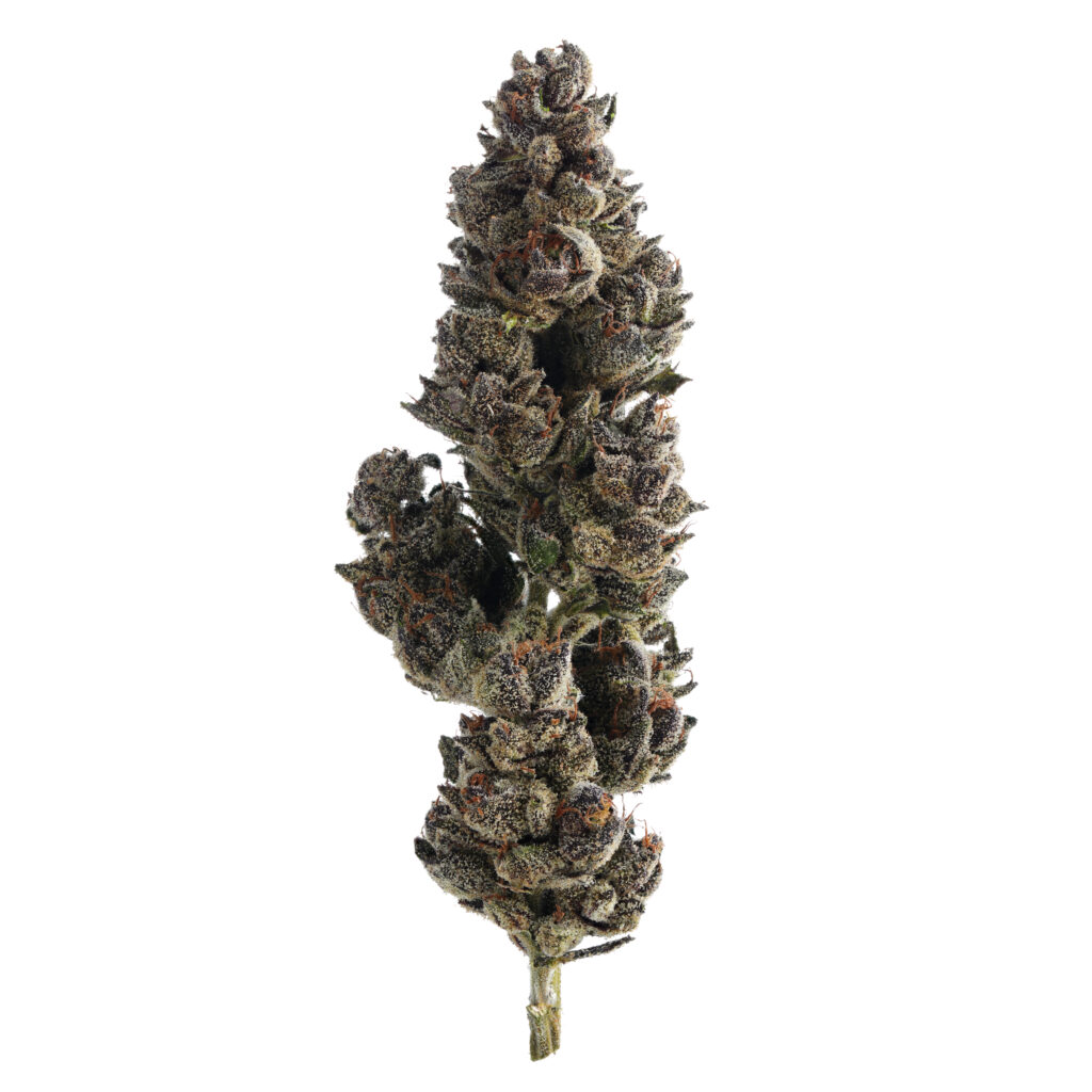 runtz marijuana strain