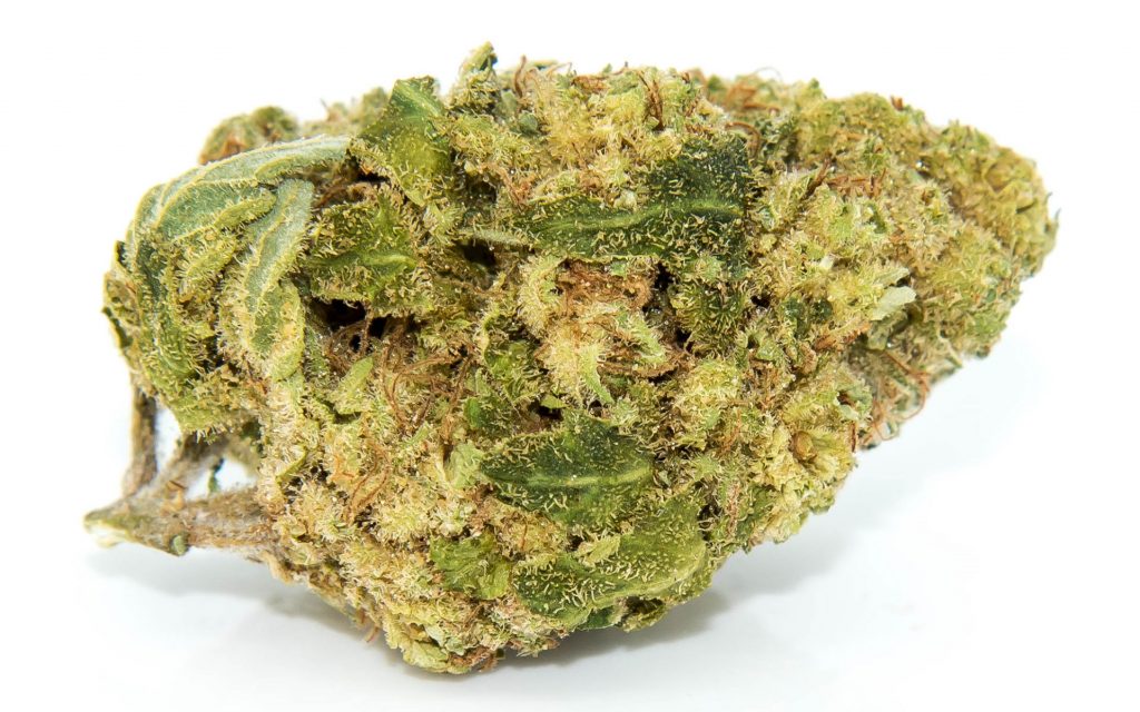 white widow marijuana strain