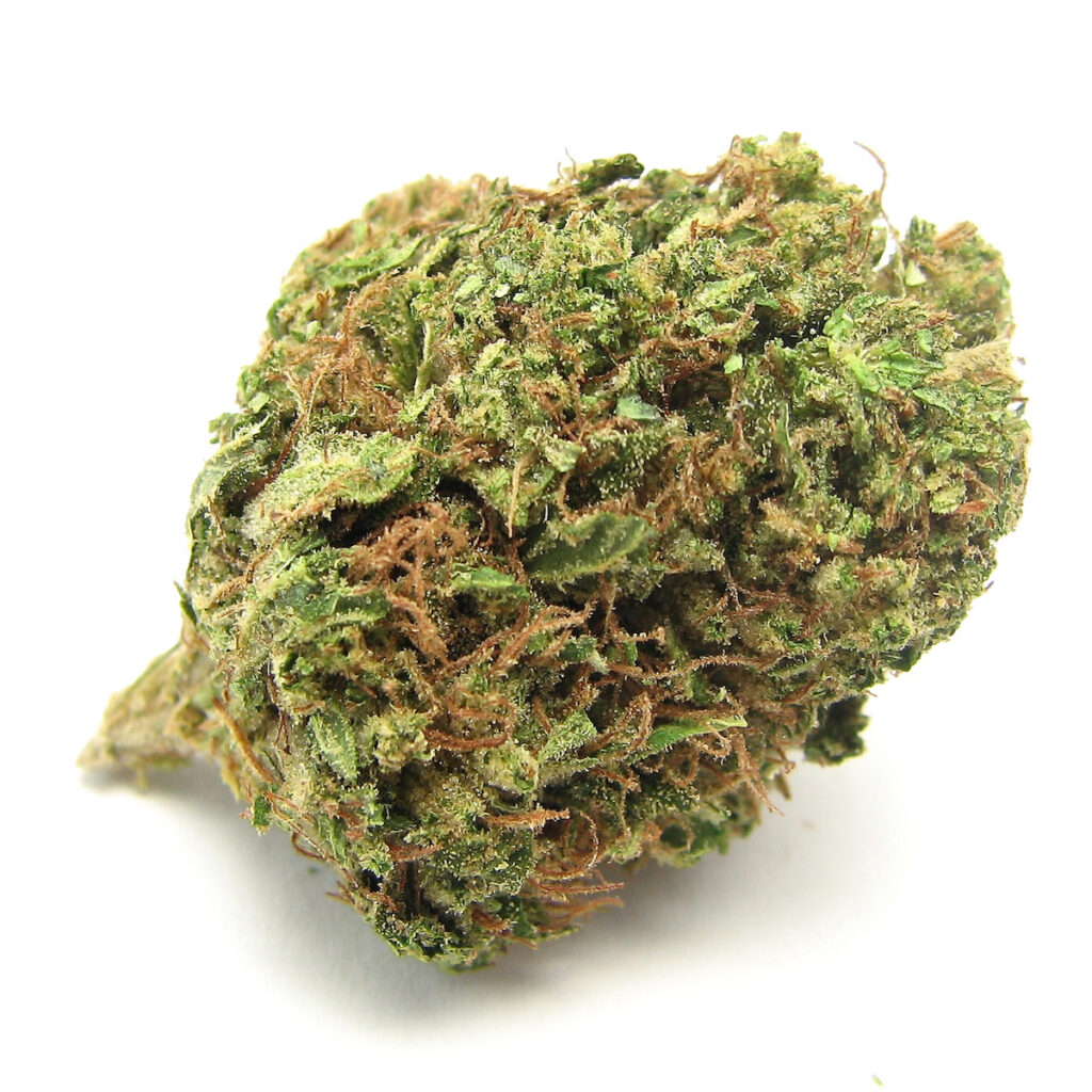 Headband, a cross of Sour Diesel and OG Kush, in 2014. (David Downs)