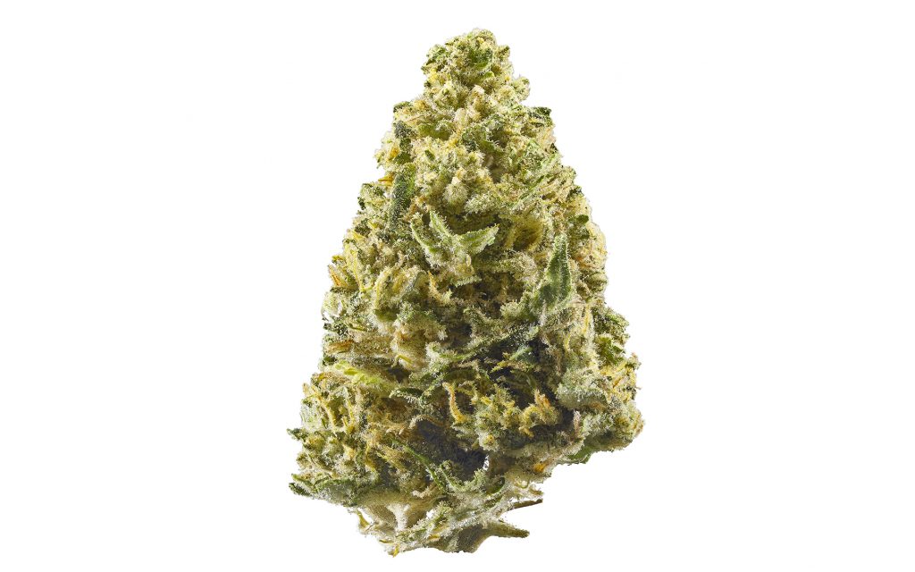 northern lights marijuana strain