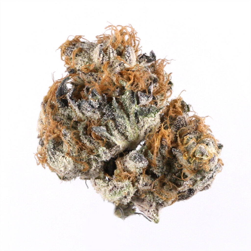 blueberry marijuana strain