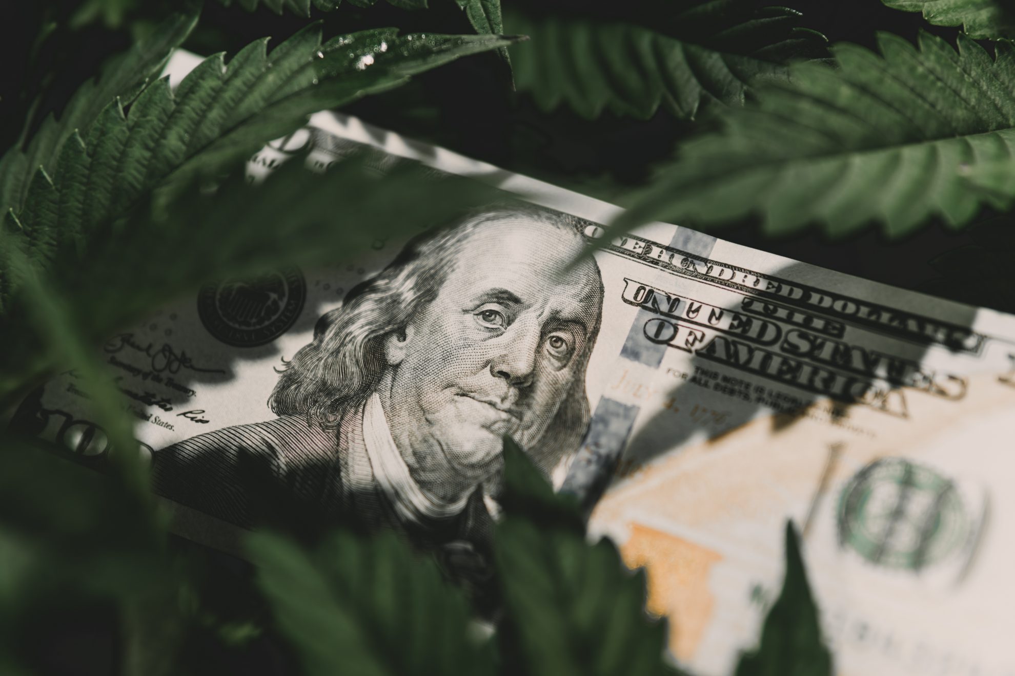 States Projected to Post Higher Marijuana Revenues in 2021 – Tax Foundation