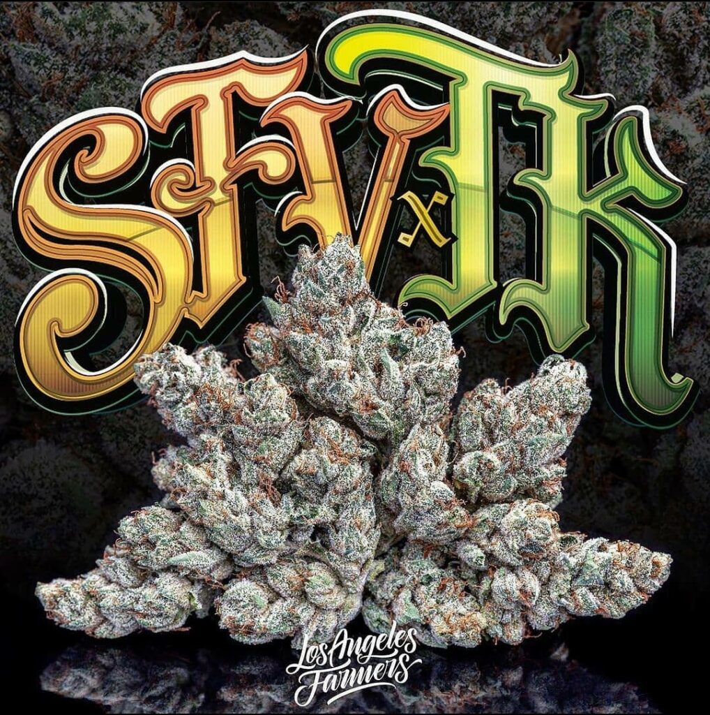 SFVTK (Courtesy Jungle Boys)