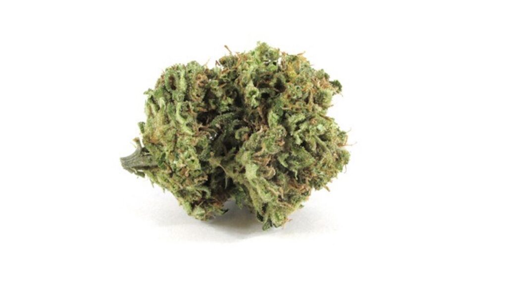 Peach Preserves (Courtesy Molecular Farms)