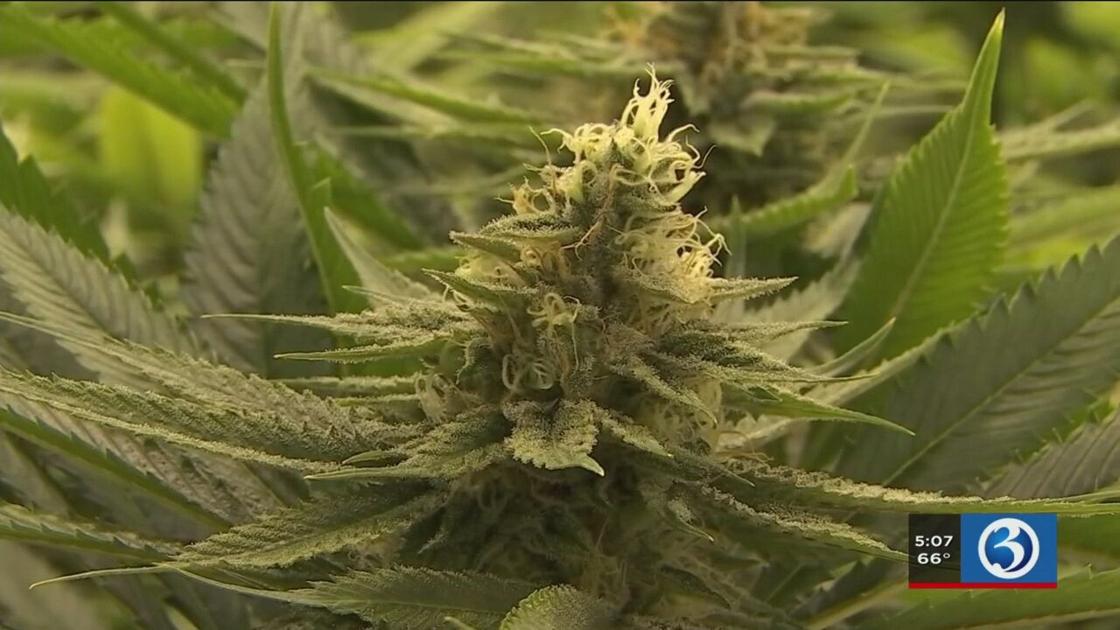 Lawmakers move closer to legalizing marijuana in Connecticut – WFSB