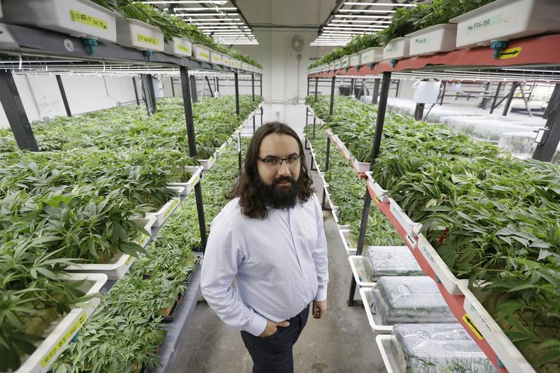 Marijuana Will Soon Be Legal In Connecticut. But Don’t Try To Buy Any In One Waterbury Suburb. – WSHU