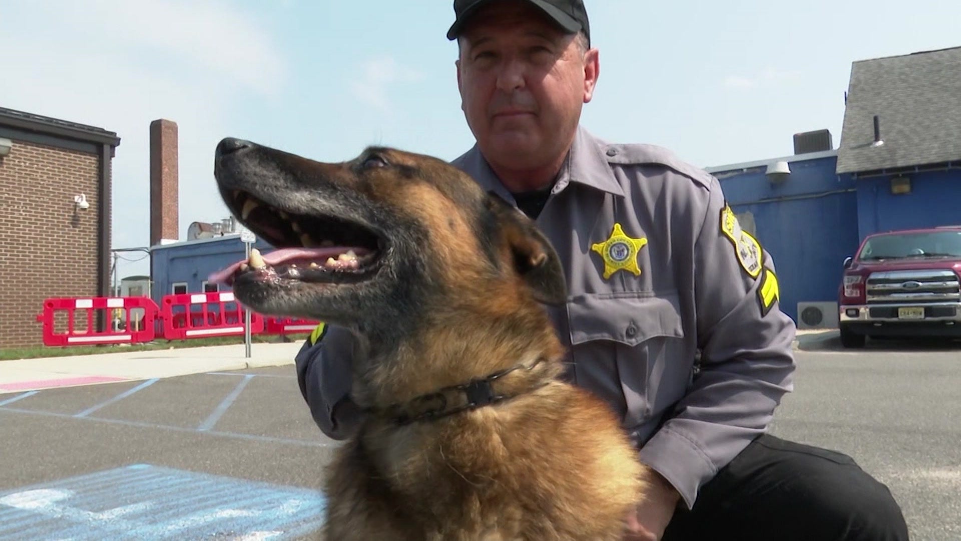 Ocean County Sheriff’s Office to retire K-9s trained to detect marijuana – News 12 Connecticut