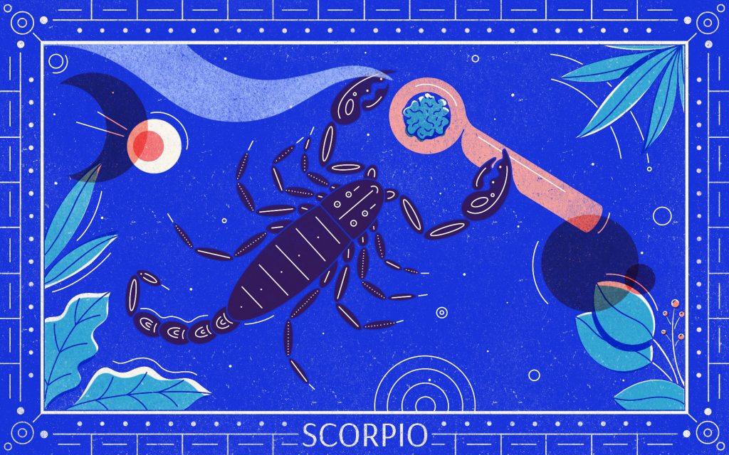 Illustration of a scorpion with a packed bowl of weed