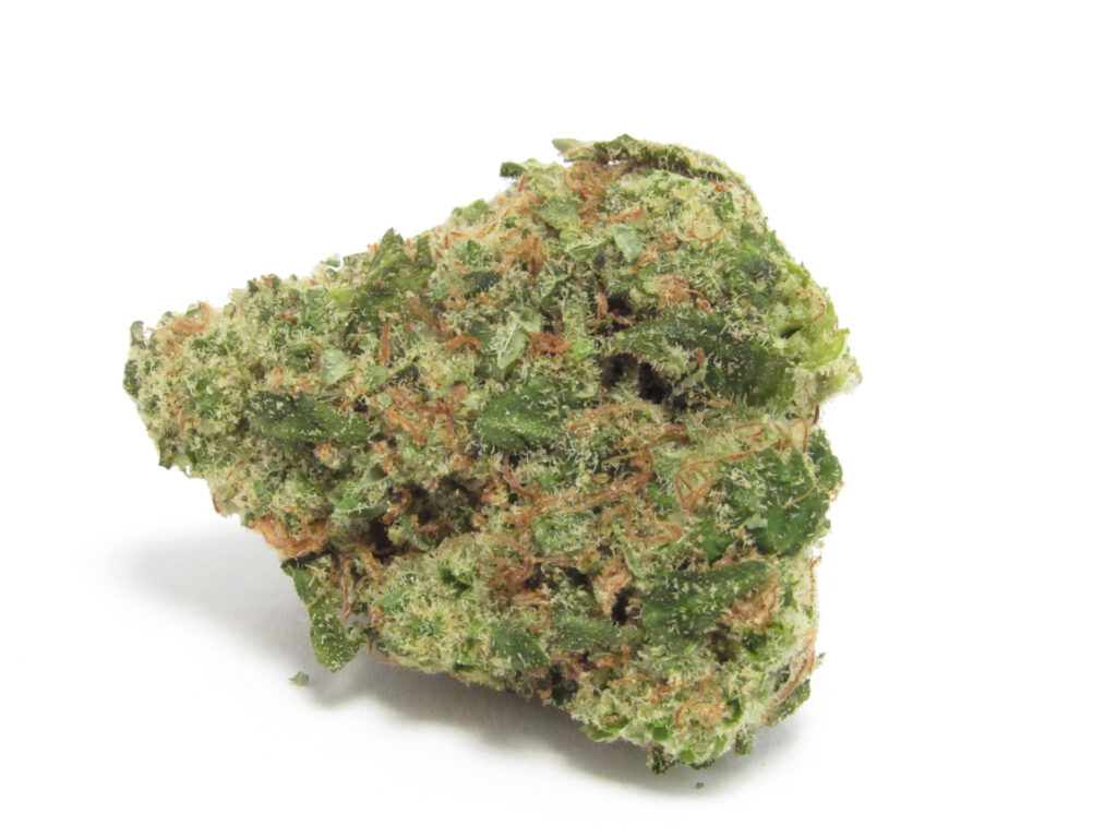 A picture of a nug of A Golden State’s green, orange, dense, Lava Flower against white. (David Downs)