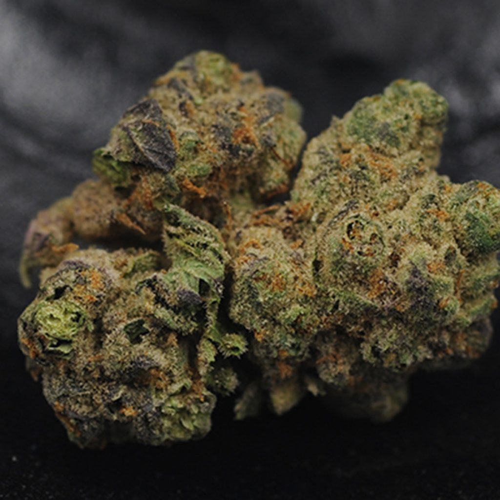 Brownie Scout marijuana strain