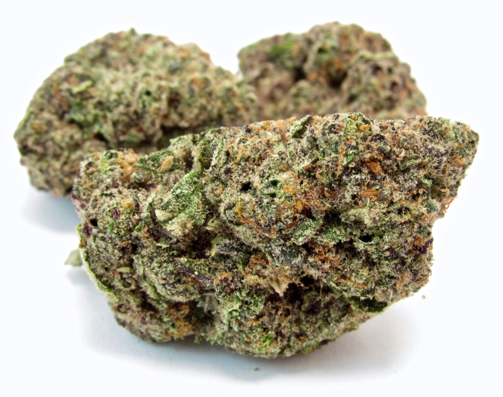 Illicit markets in places like Atlanta want California's tested, exotic, indoor pot. Above, Grandiflora's Hectane strain popped up Blue Tree distribution orders.