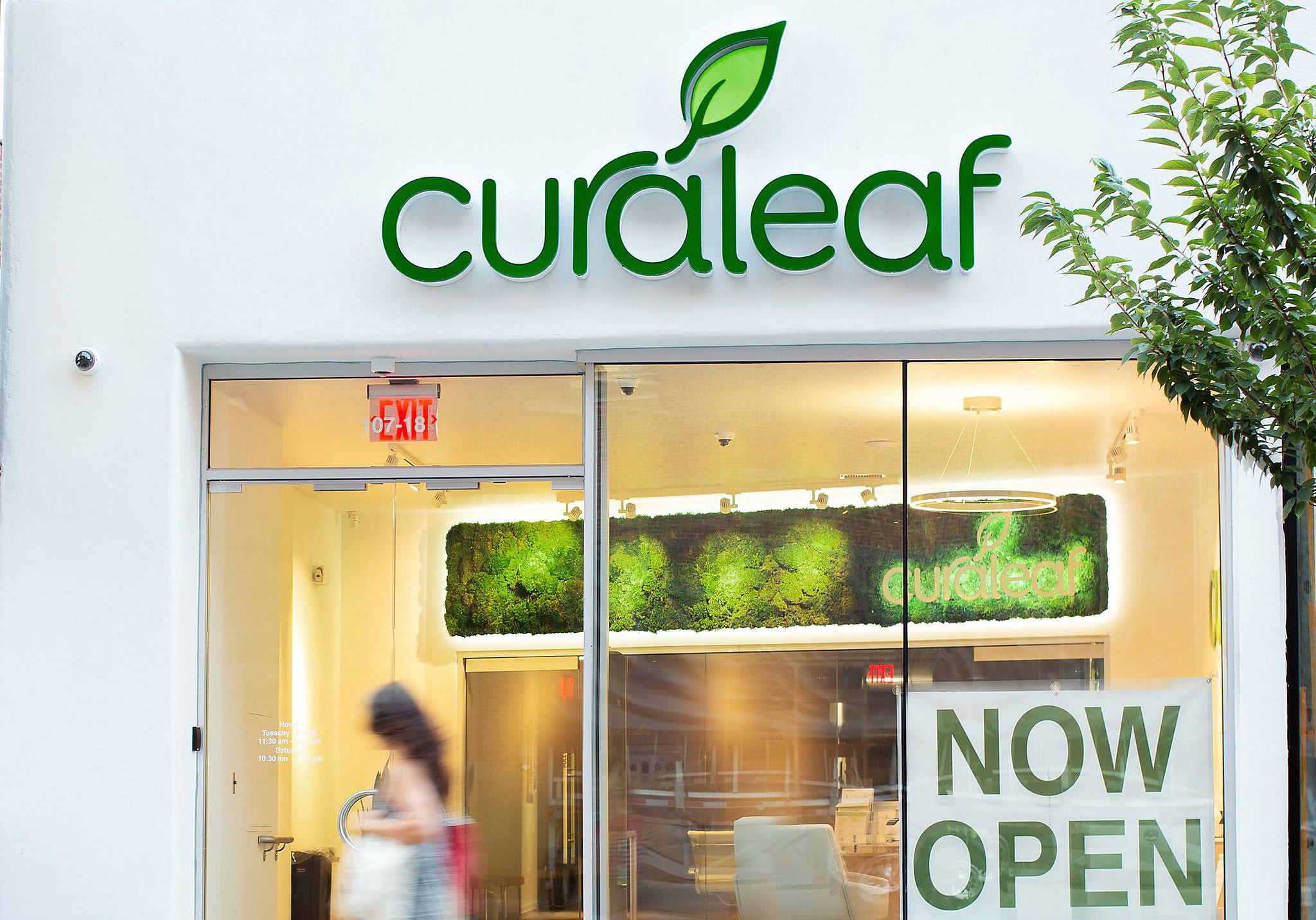 Why wait? Curaleaf, nation’s largest cannabis company, says get medical card now, ahead of retail rollout – Westfair Online