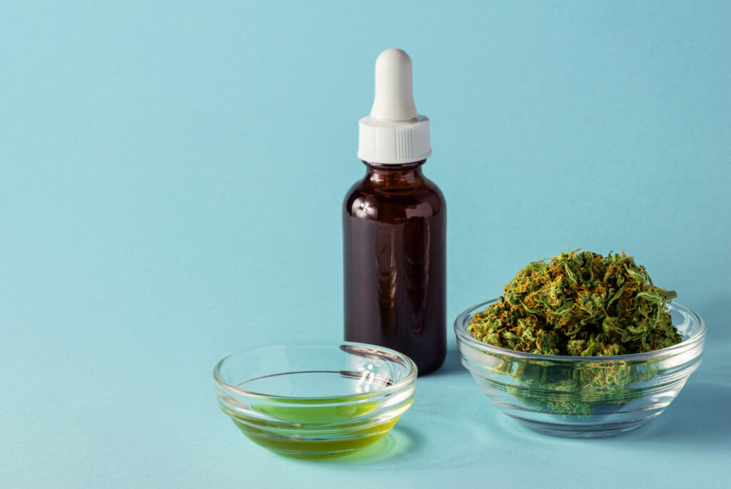 Glass Bottle and Dish of CBD or THC Oil with Hemp or Cannabis Buds on Aqua Blue Background