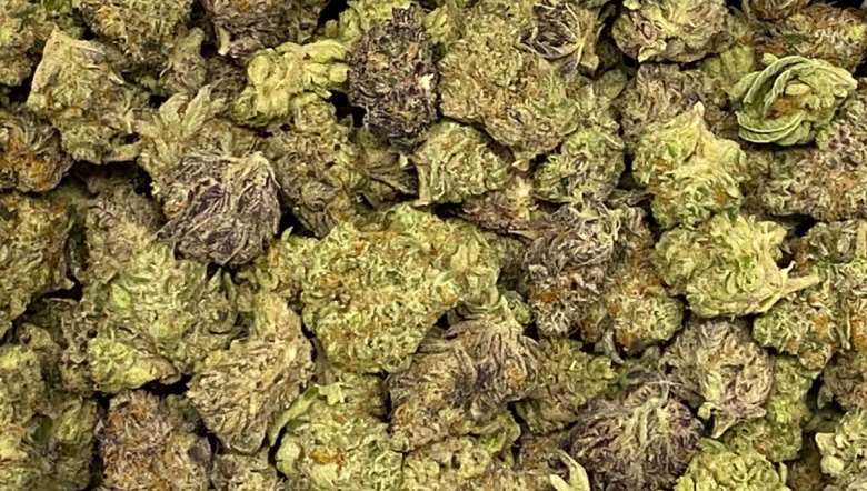 Cannabis buds (CTNewsJunkie / photo)