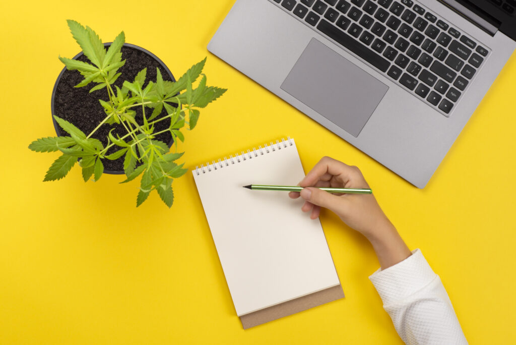 Modern notebook, laptop and cannabis plant in flower pot isolated on bright yellow background.