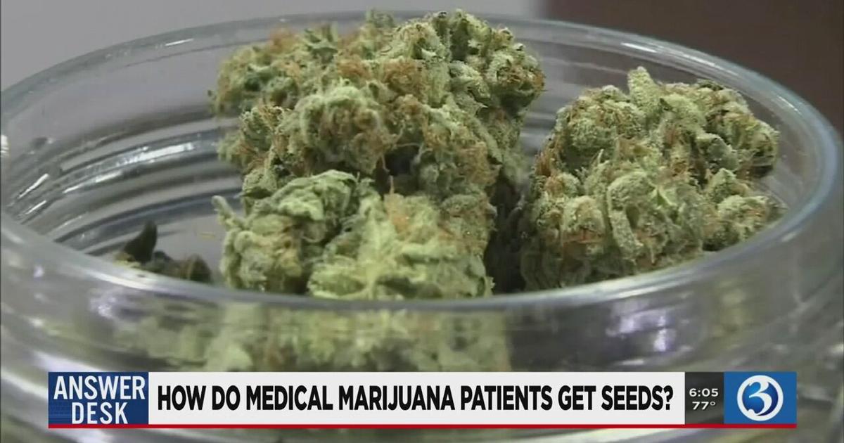 ANSWER DESK: Where can medical marijuana patients buy seeds, clones starting Oct. 1? – WFSB