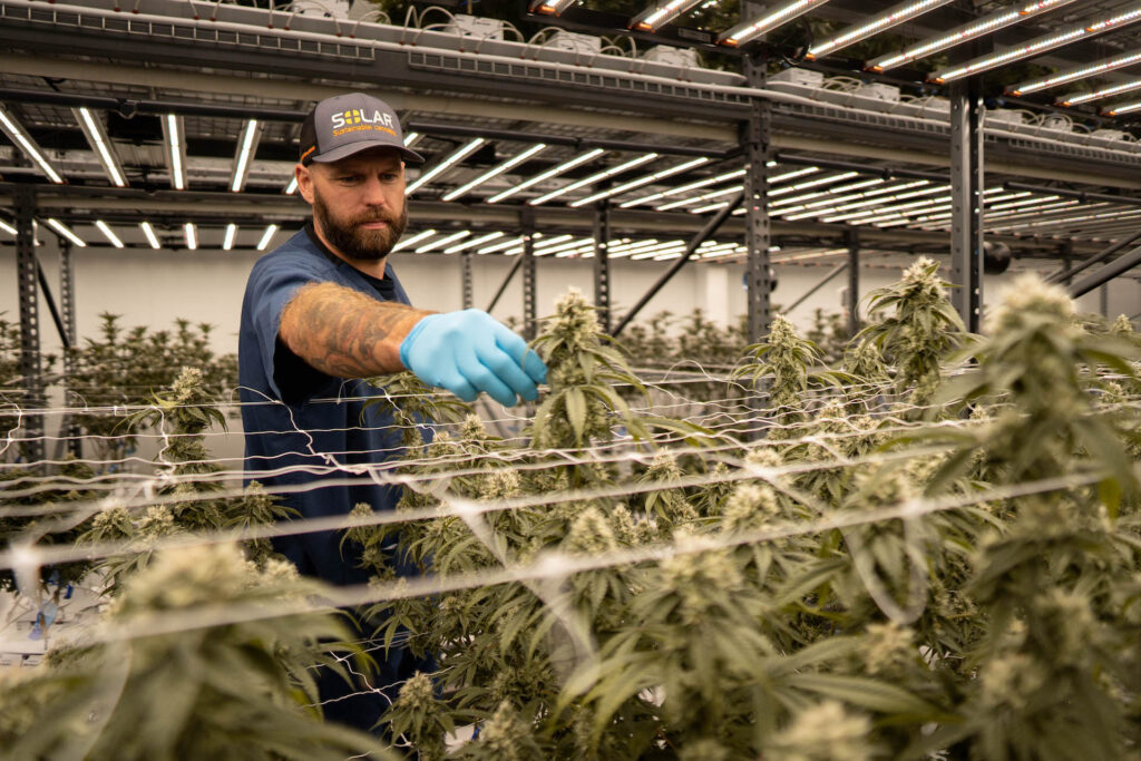 Brendan Delaney. (Courtesy Solar Therapeutics)