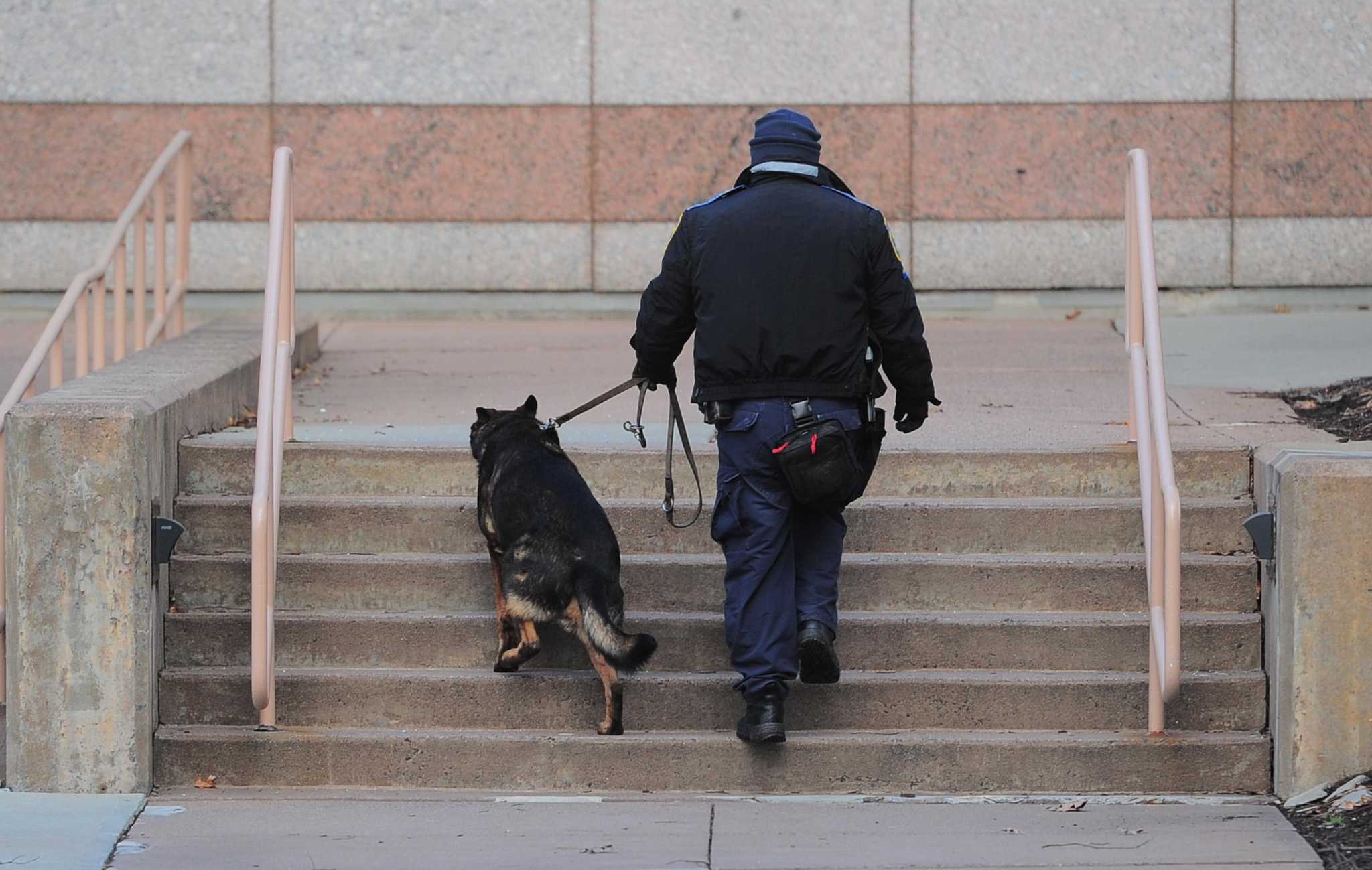 If marijuana is legalized, Connecticut’s pot-sniffing K-9s may retire – CT Post