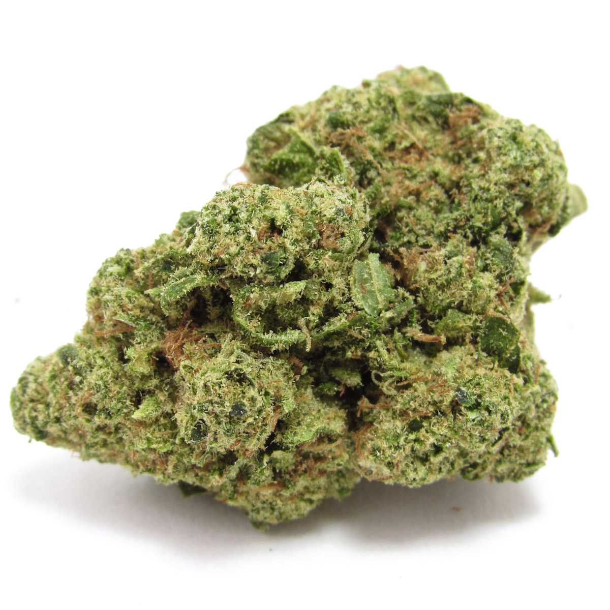 Grab your jars, the flood’s here. Rimrock Hell’s OG from The Green Cross, SF (David Downs/Leafly)