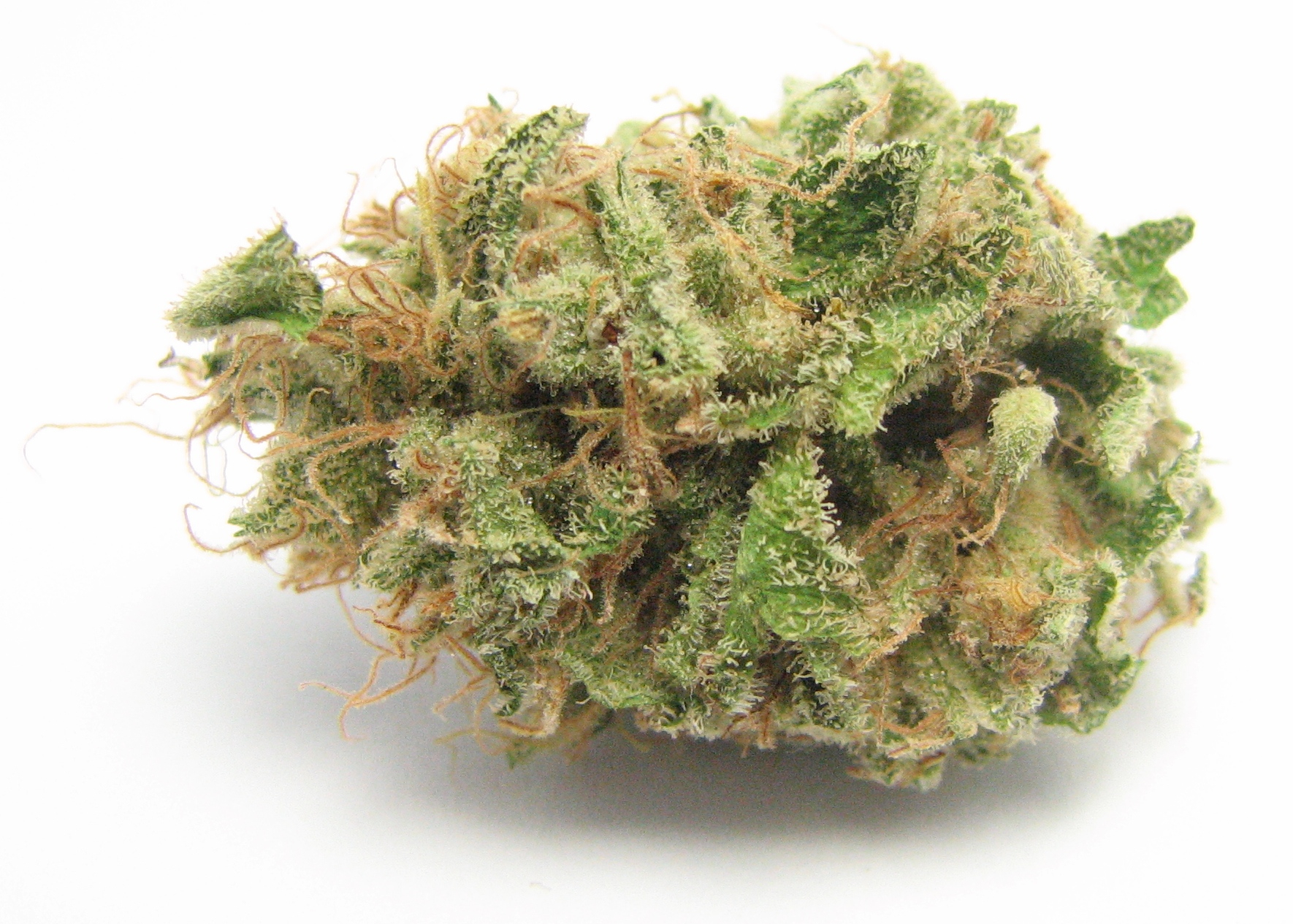 Strawberry Cough. (DavidDowns/Leafly)