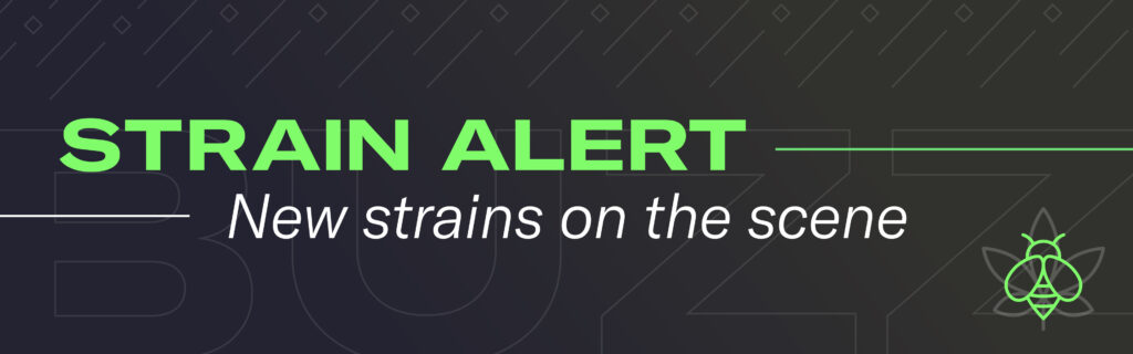 leafly buzz new strains