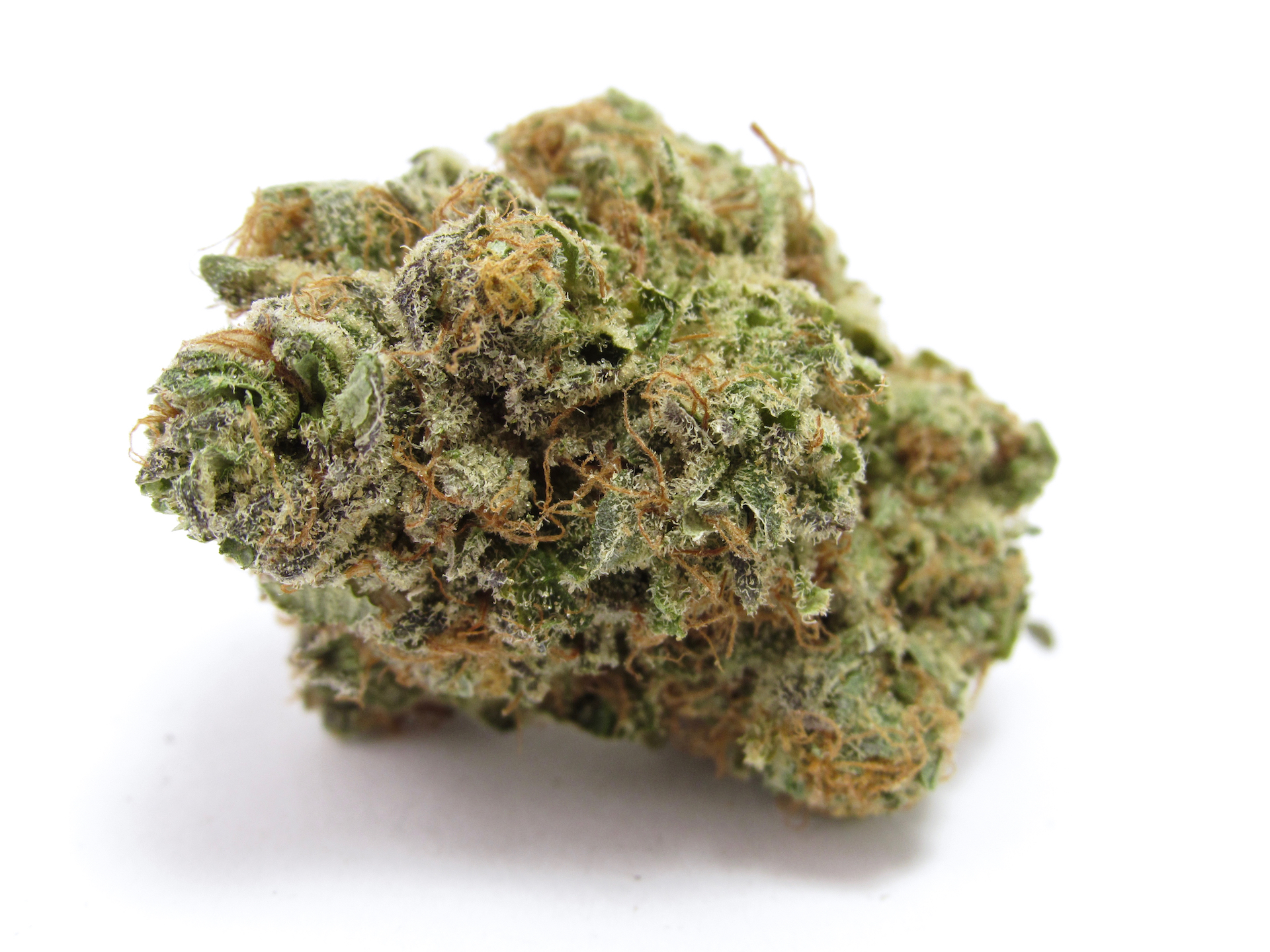 Zlushi takes super-Z terps and adds Mimosa. (David Downs/Leafly)