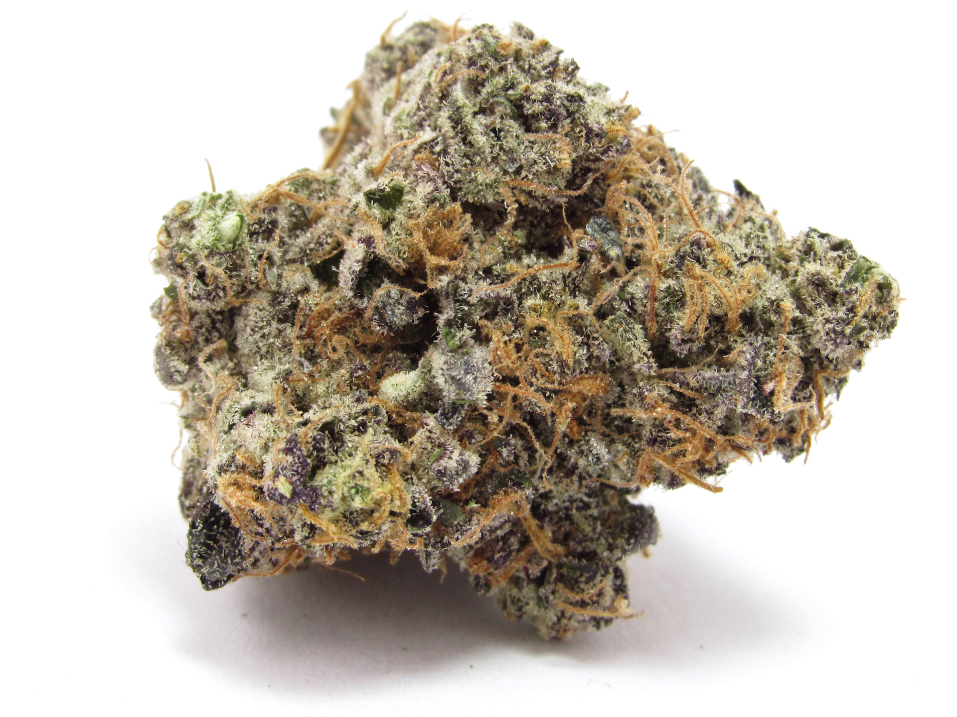 Get some Phinest+Cannarado Carbon Fiber in your diet. (David Downs/Leafly)