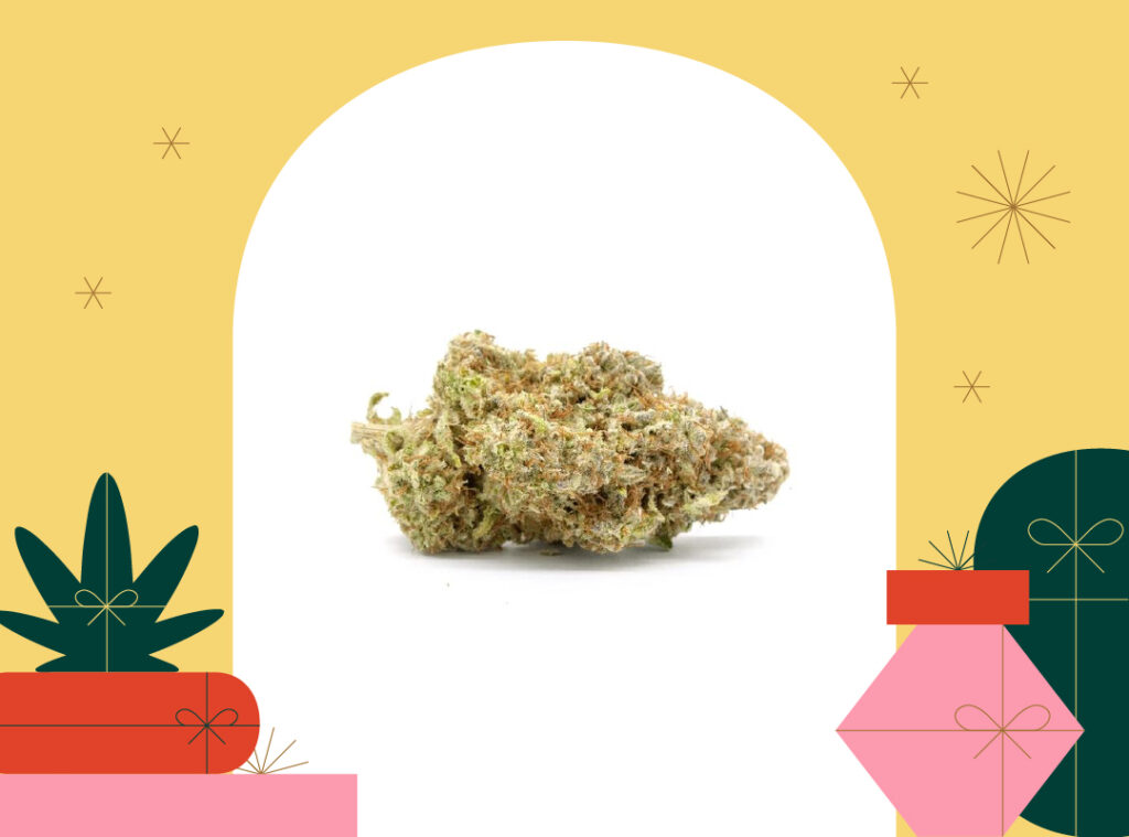 Lilac Diesel weed by Organnicraft