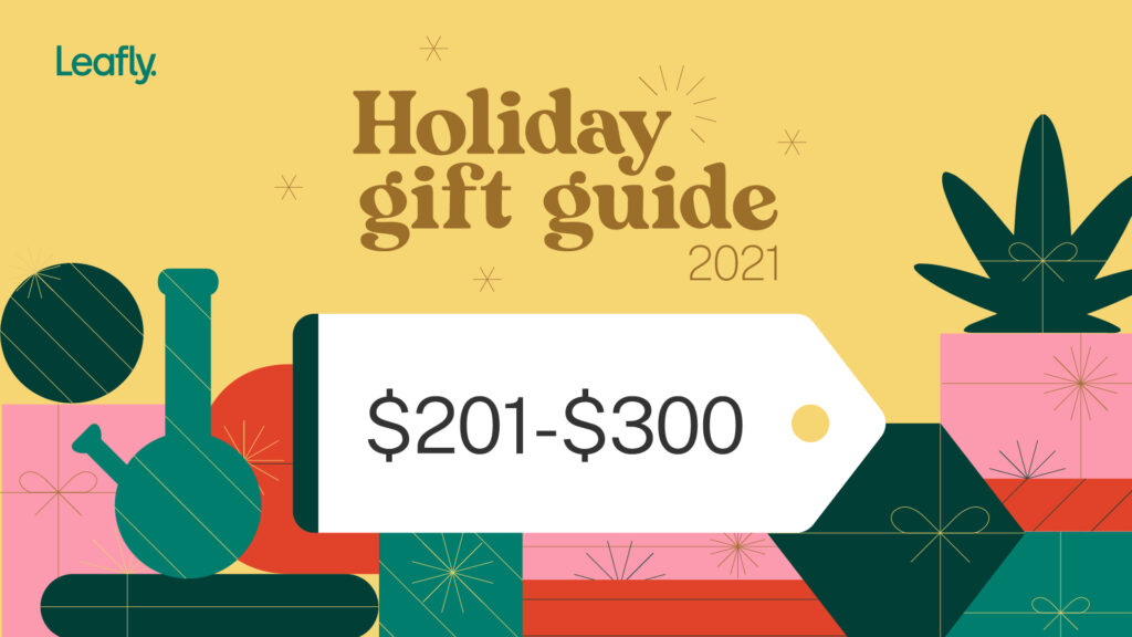 Holiday gift guide 2021 with $201-300 price tag over cheery gift background
