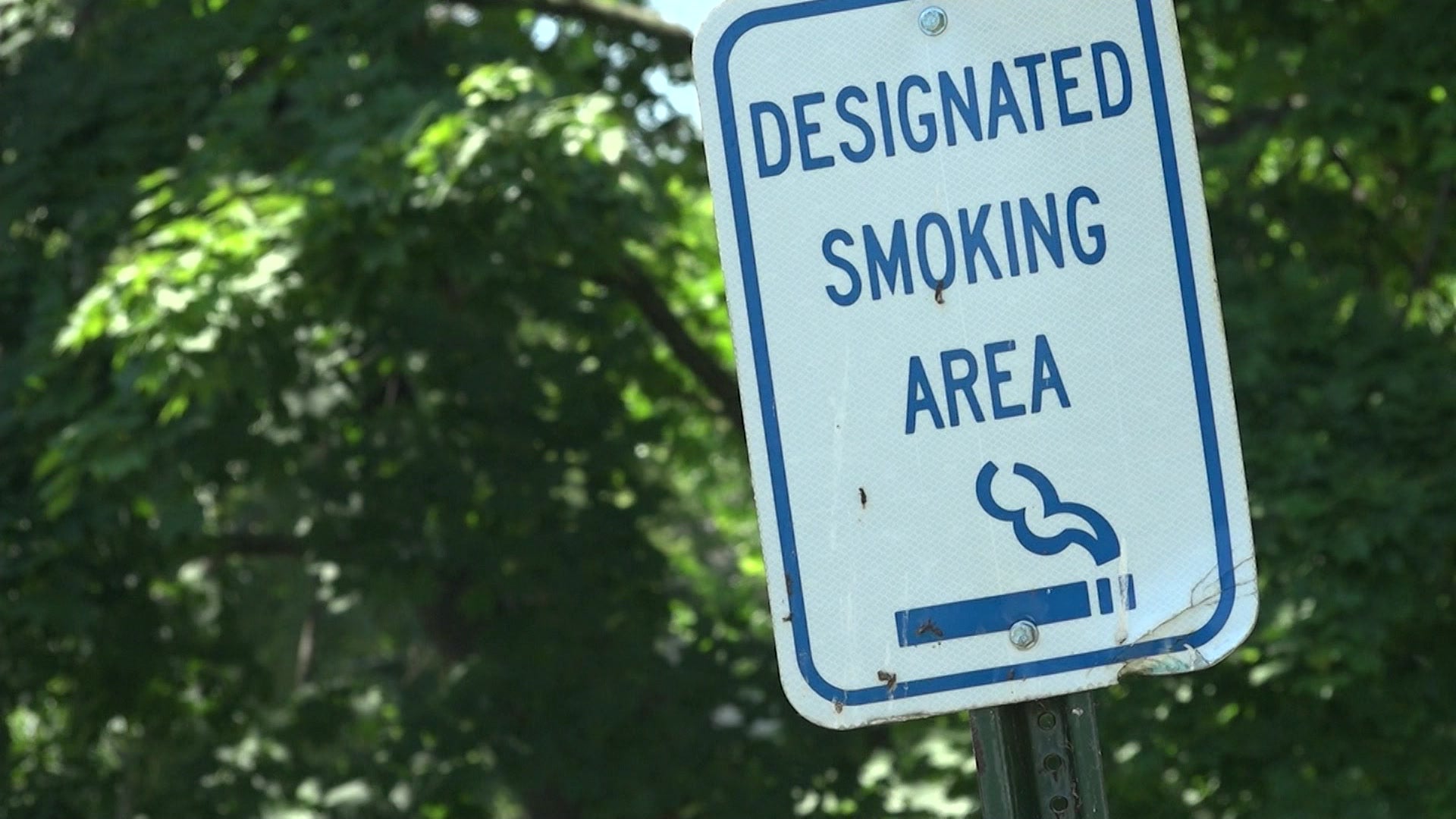 Local officials to decide whether it will be legal to smoke recreational marijuana publicly – News 12 Connecticut