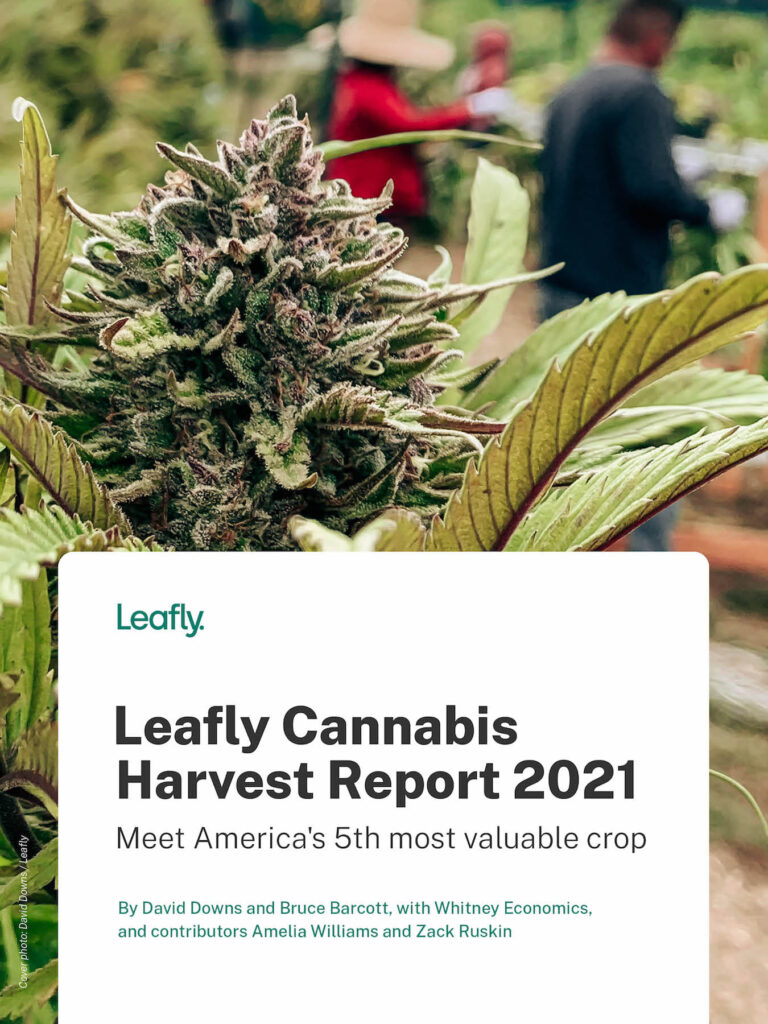 Leafly Cannabis Harvest Report Cover Image for web post