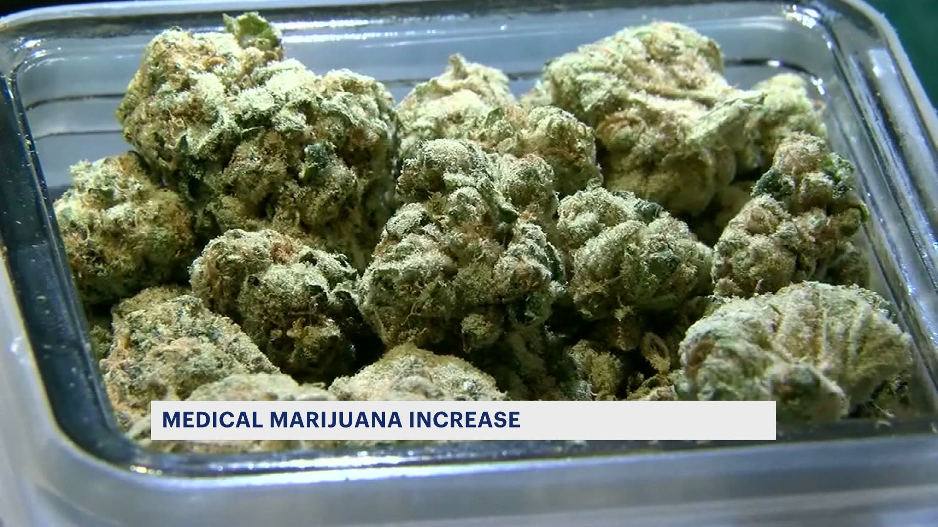 State increases amount of marijuana medical recipients can purchase – News 12 Brooklyn