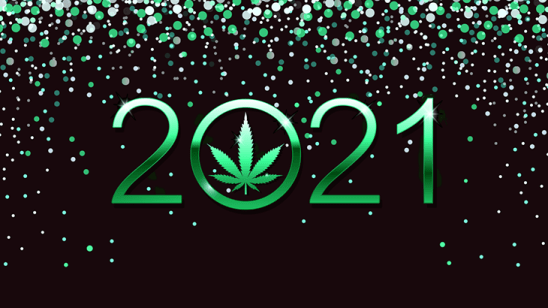 2021 Marijuana News