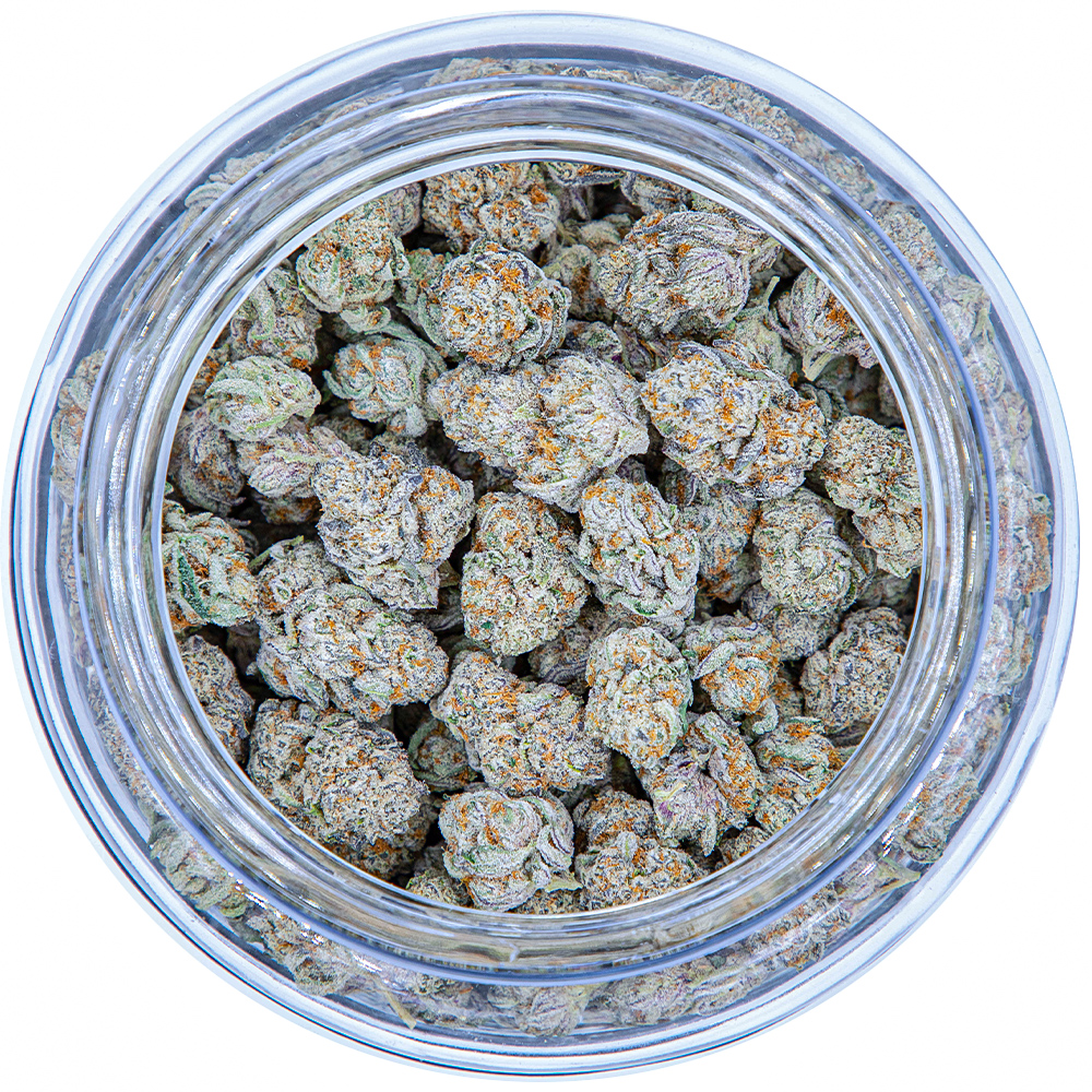 A brightly lit white bowl of cannabis buds.