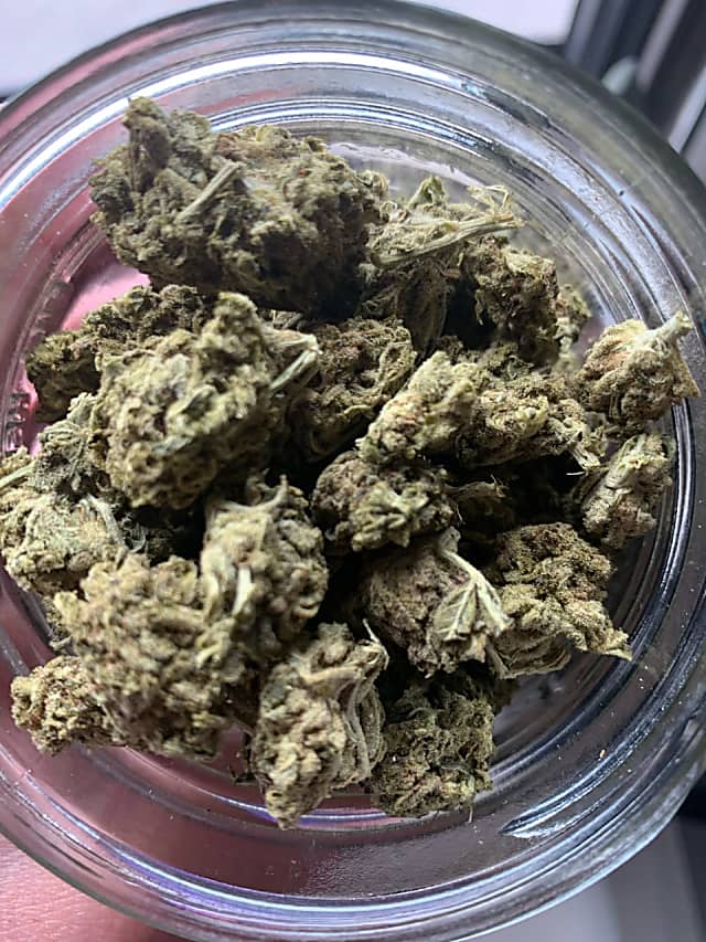 CT Man Busted By State Police With Pound Of Pot On I-95 – Brookfield Daily Voice