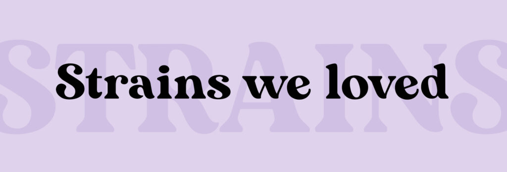 Black text reading "strains we loved" over light purple background