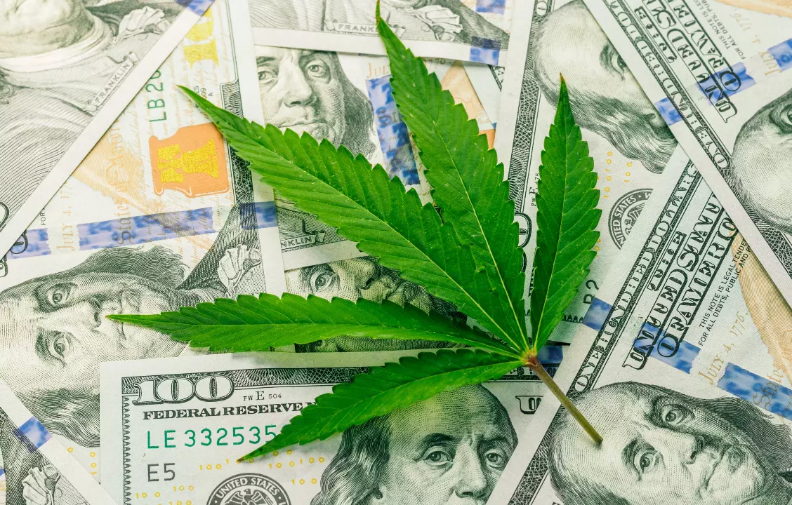 Image of a cannabis leaf on top of $100 bills