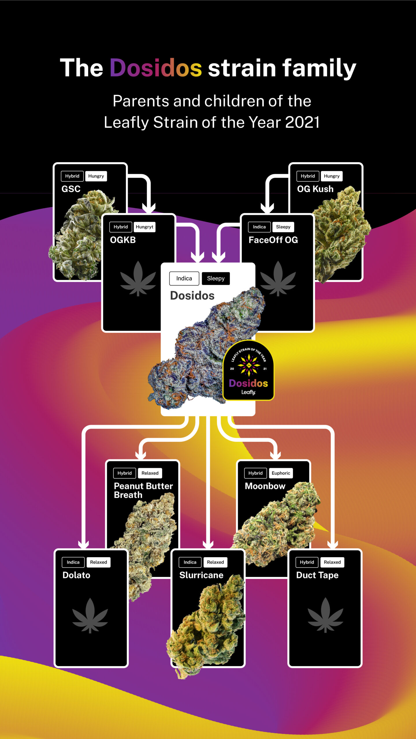 Parents and children of the Dosidos weed strain: GSC, OG Kush, OGKB, Faceoff OG, Peanut Butter Breath, Moonbow, Dolato, Slurricane, and Duct Tape