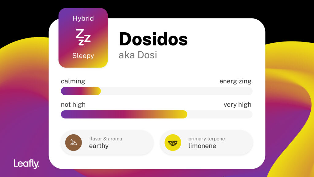Dosidos marijuana strain contains the terpenes limonene, peppery caryophyllene, and flowery linalool.