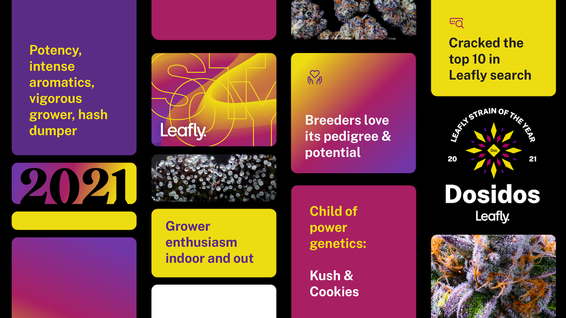 Dosidos 2021 weed strain of the year selection method