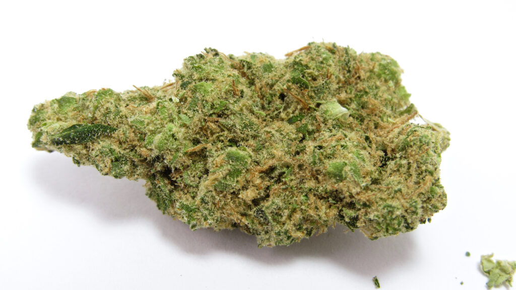 GMO Cookies weed strain nug