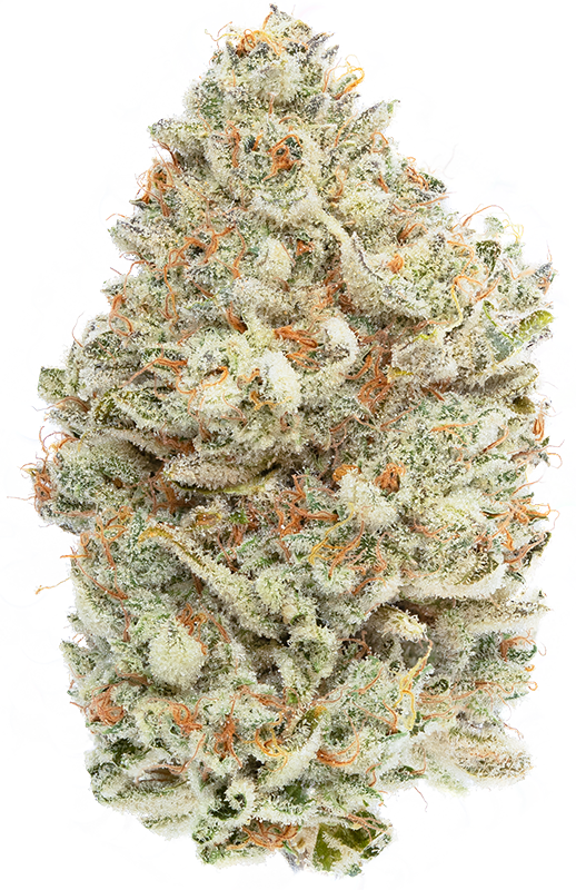 Cereal Milk weed strain nug