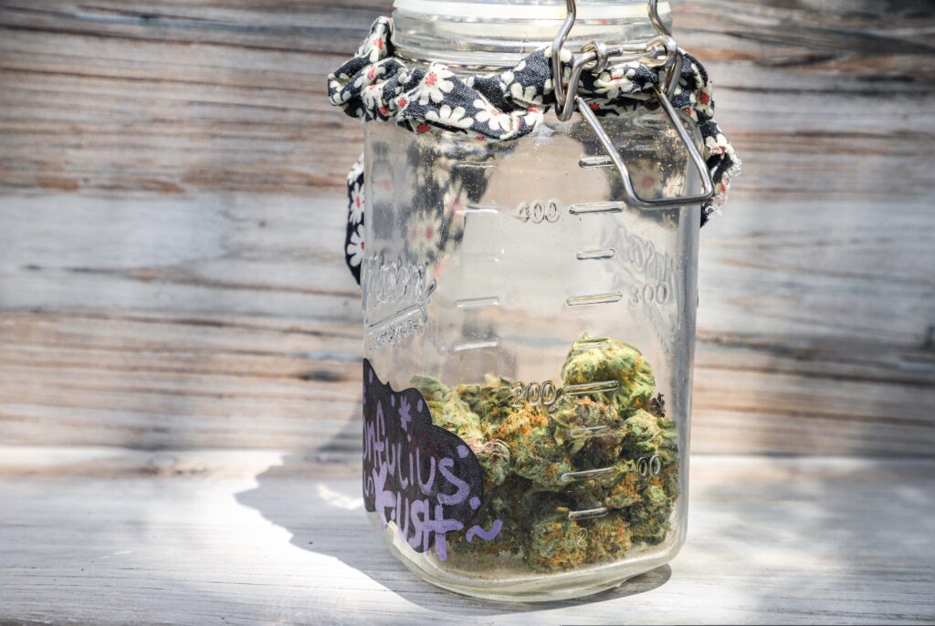Legal cannabis shining through a mason jar