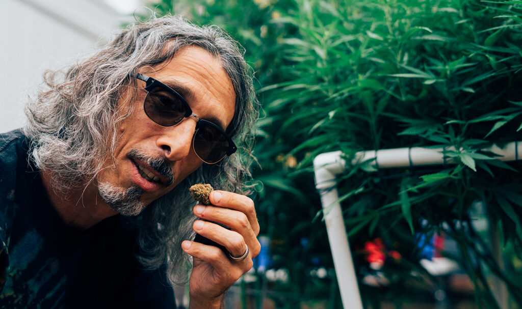 Homegrown Cannabis Co.